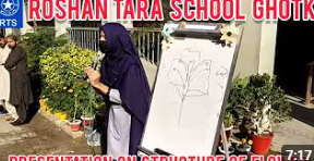 Sample Video